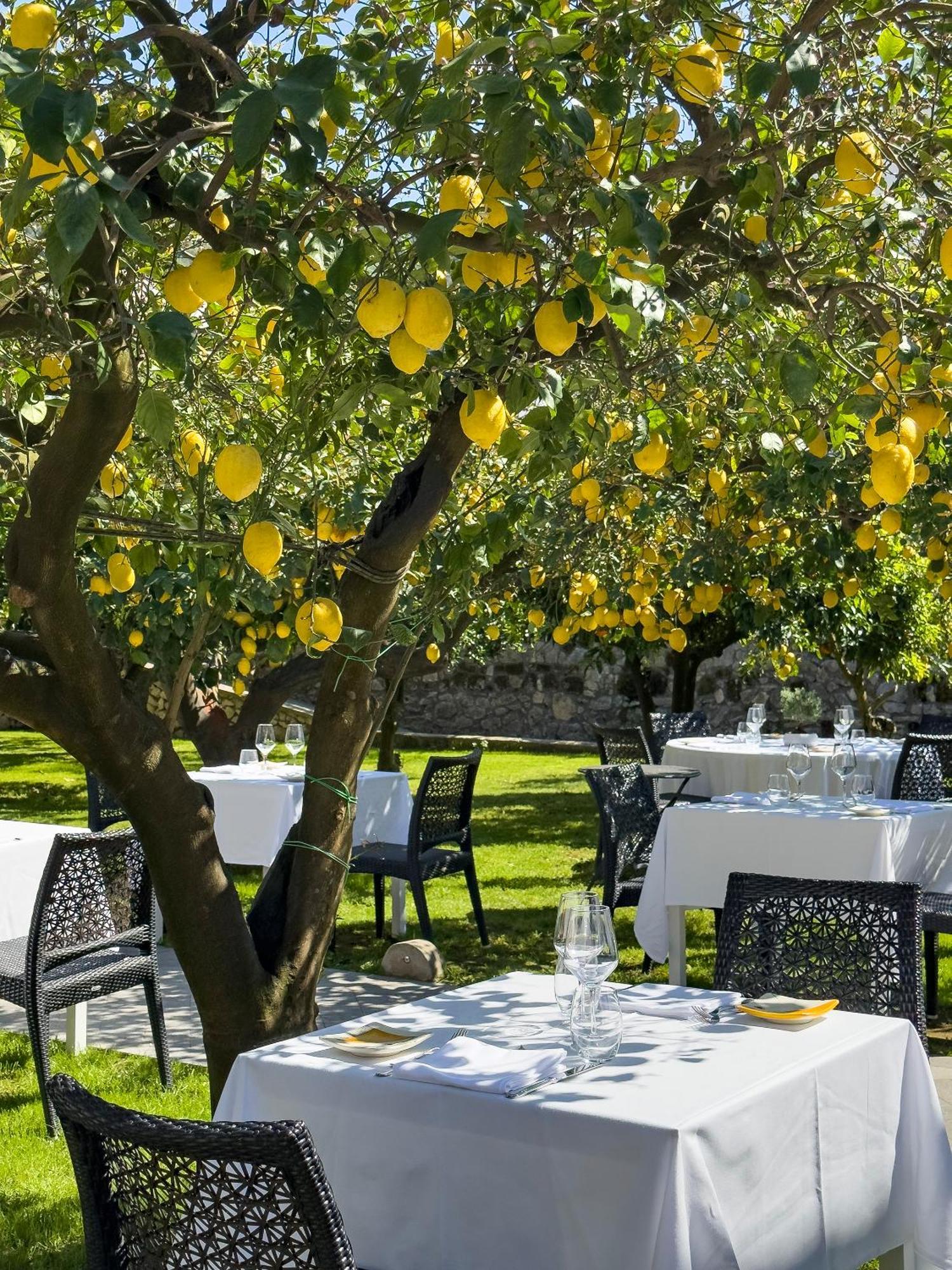 Boutique Hotel Casa Mariantonia Anacapri  Bagian luar foto