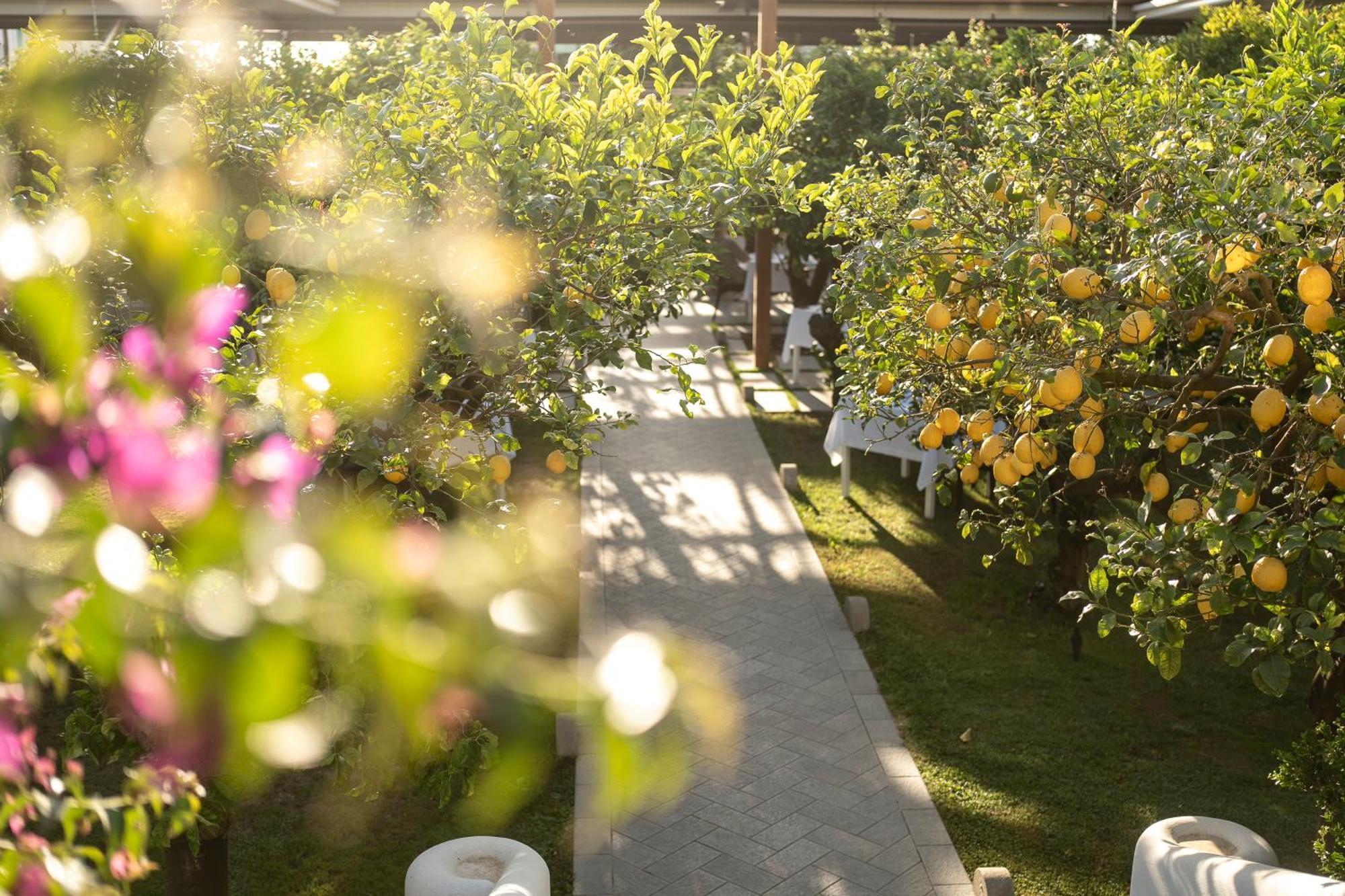 Boutique Hotel Casa Mariantonia Anacapri  Bagian luar foto
